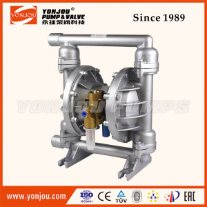 Qby Cast Iron Stainless Steel PVDF PTFE Teflon Air Operated (Pneumatic) Double Diaphragm Pump